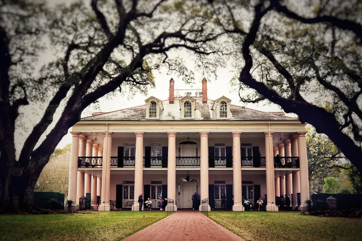 Plantation house framed by oak trees